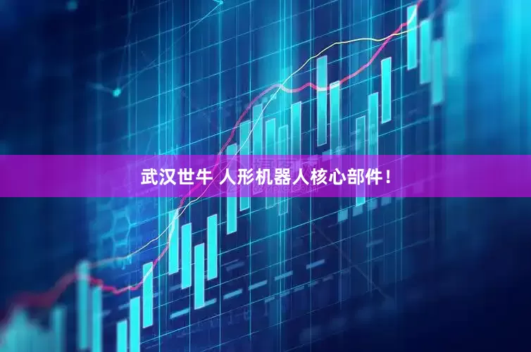武汉世牛 人形机器人核心部件！