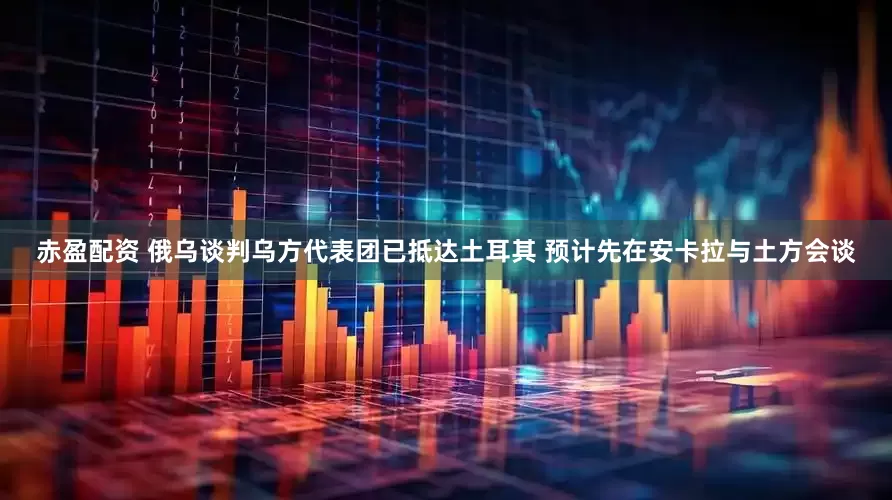赤盈配资 俄乌谈判乌方代表团已抵达土耳其 预计先在安卡拉与土方会谈