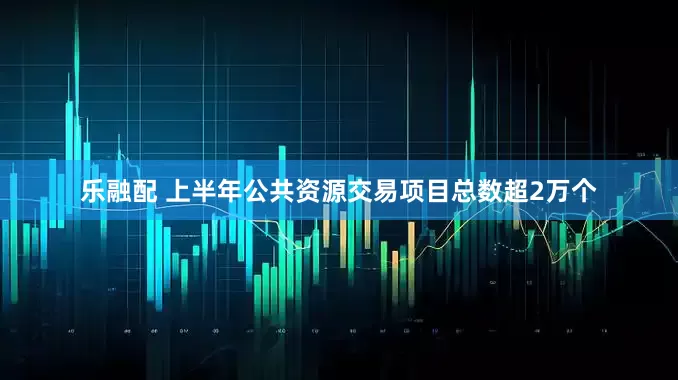 乐融配 上半年公共资源交易项目总数超2万个
