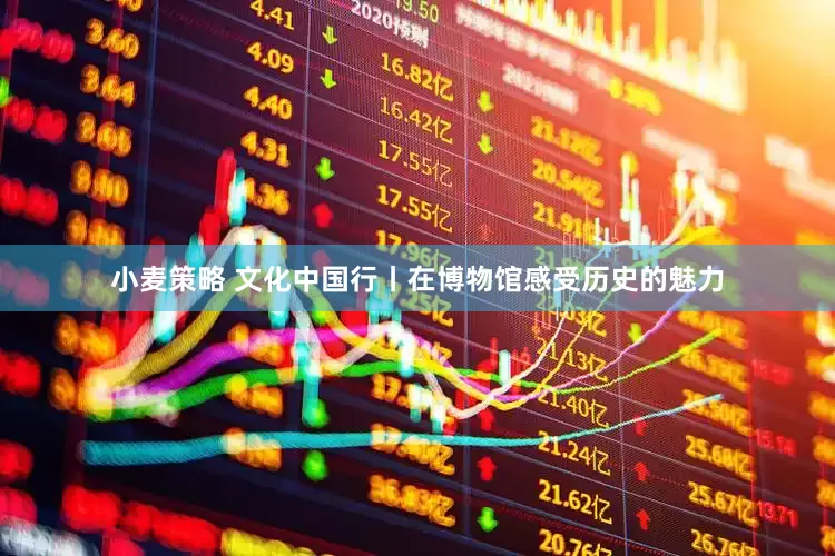 小麦策略 文化中国行丨在博物馆感受历史的魅力