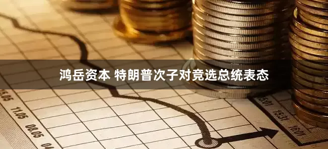 鸿岳资本 特朗普次子对竞选总统表态