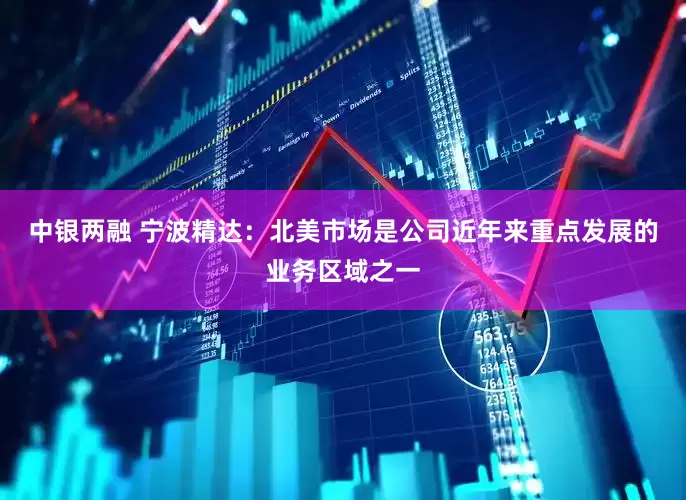 中银两融 宁波精达：北美市场是公司近年来重点发展的业务区域之一