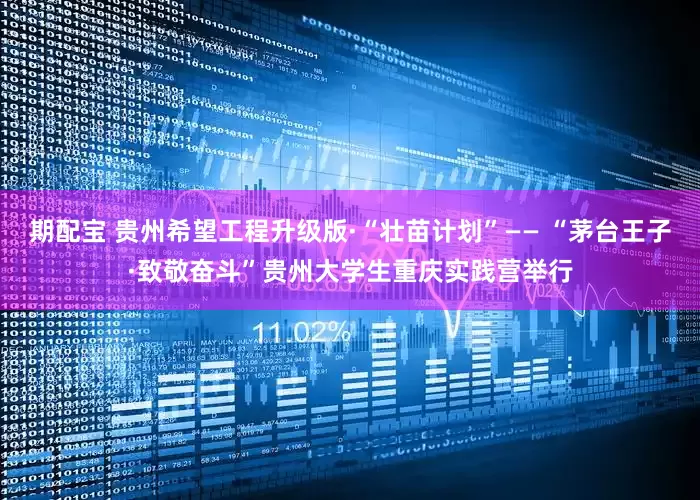 期配宝 贵州希望工程升级版·“壮苗计划”—— “茅台王子·致敬奋斗”贵州大学生重庆实践营举行